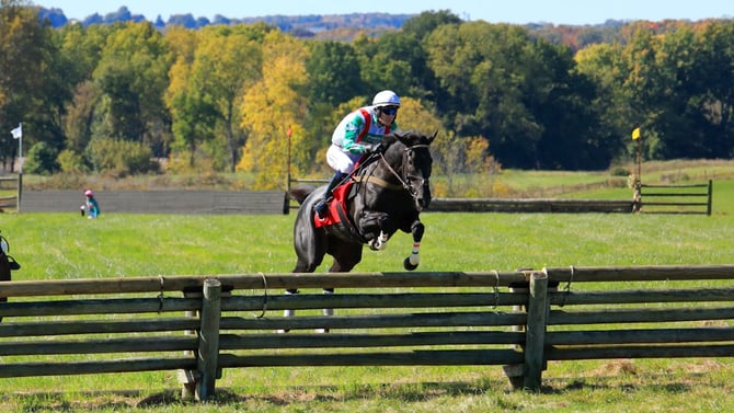 Blog - Iroquois Steeplechase 2026: Nashville's Premier Horse Racing Event & Where to Stay